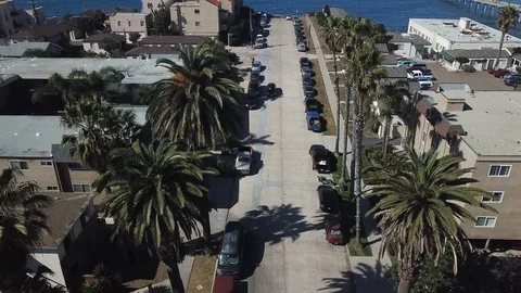 Aerial of Palm Tree Lined Road Stockbeeldmateriaal 87998984