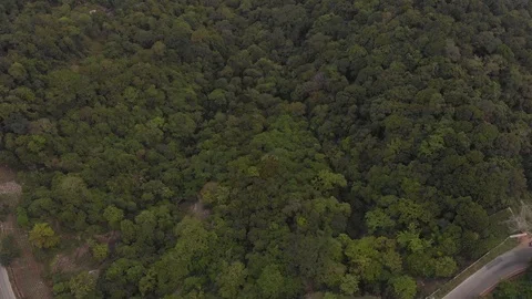 Aerial pan down to a road in rain forest Stock Footage 111144769