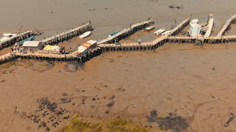 Aerial pan down view of the Carrasqueira harbour in Comporta, Portugal.. Stock Footage 90805601