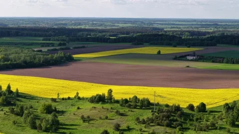 Aerial Pan Over Rapeseed and Plowed Fields in Lithuania Video stock 337439152