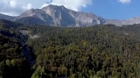 Aerial pan right over a large pine forest and nice mountains range Video stock 152047253