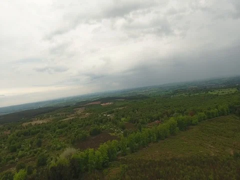 Aerial pan shot of forrest Stock Footage 75862633