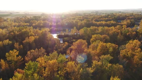 Aerial pan of thick forest with Fall colors in Montana 스톡 동영상 231075718