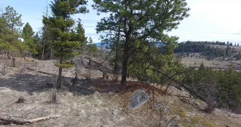 Aerial pan to tree then fast climb to show dramatic landscape Stock Footage 88454993