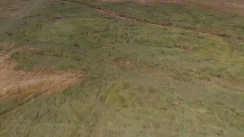 Aerial pan view from the grass to the mont saint michel, France 2018-09-01 Stock Footage 116192561