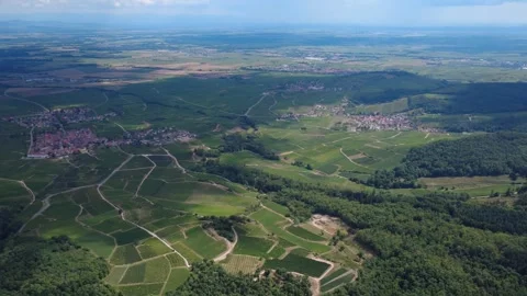 Aerial Pan View of Landscape made up of villages, vineyards and Forest in t.. Stock Footage 340208810