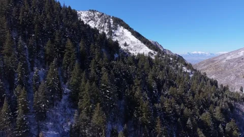 Aerial pan of winter pine forest and snowy mountains in Utah Stock Footage 333881290