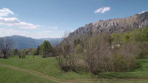Aerial panning saplings from up to down Stock Footage 80375469