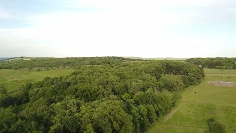 An Aerial Panning Shot of Fields, Trees, and a Farm Stock-Footage 194982692