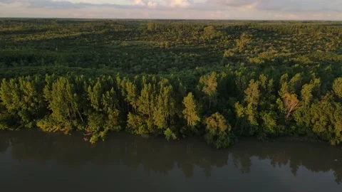 Aerial panorama of Amazon rainforest front to River at sunset Stock Footage 151980245