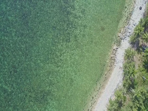 Aerial Panorama Azure Ocean and Palm Beach at Bright Sunlight Stock Footage