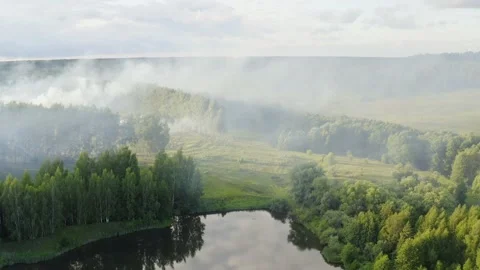 Aerial panorama of burning forest Stock Footage 208925973