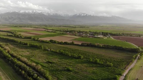 Aerial panorama of green fields in spring. View of the mountain peaks. Stock Footage 148145064