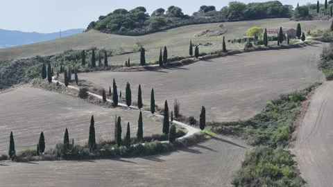 Aerial Panorama of La Foce Zig Zag Road in Tuscany Stock Footage 302023280