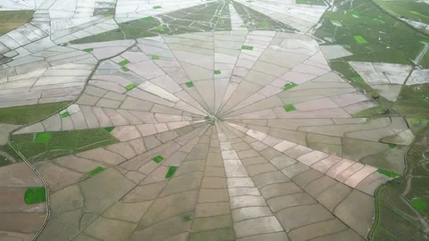 Aerial Panorama of Lingko Spiderweb Rice Fields in Green Valley Stock Footage 338040936