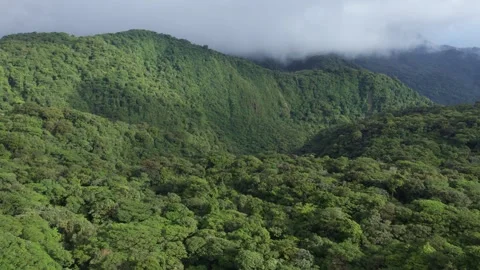 Aerial Panorama of Monteverde Cloud Forest Reserve, Costa Rica Stock Footage 339879215