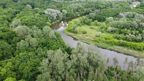 Aerial panorama on river zigzag through forest Stock Footage 131741960