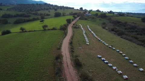 Aerial panorama of rural hill with fields, road and beekeeping hives for honey Stock Footage 337458600
