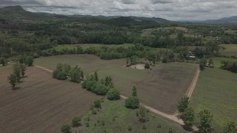 Aerial Panorama of Tree-Lined Farm Road, Wooden Barn and Green Fields, Rura.. Stock-Footage 337083301