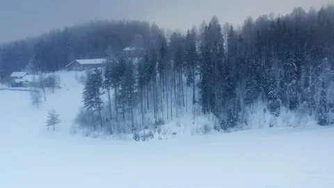 Aerial panorama of winter pine tree forest, subarctic landscape, frozen, fog Stock Footage 124652747