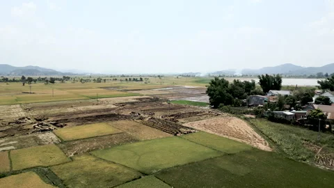 Aerial panoramic drone view over crop fields in a rural area near the lake and Stock Footage 276620626