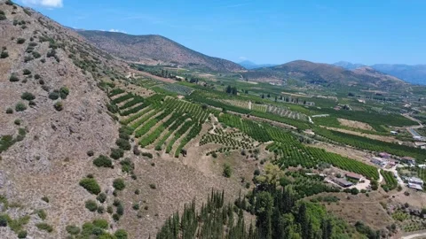 Aerial panoramic mountain orange grove and fertile valley farmland Stock Footage 343948748