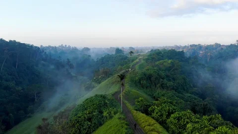Aerial panoramic of a path surrounded by green and forest at sunrise Stock Footage 97443300