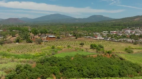 Aerial panoramic sugar cane fields and rural town in Michoacan Mexico Stock Footage 331979043