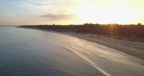 Aerial panoramic sunset view of palm trees forest in the Kalpitiya at Sri Lanka Vidéo 200957708