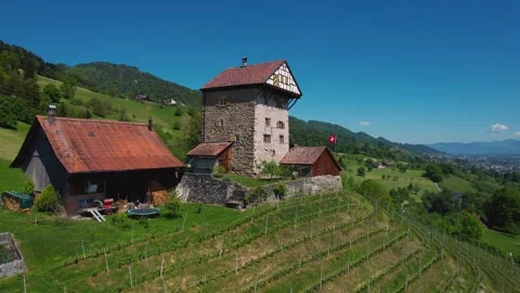 Aerial panoramic view around the town  Altstätten  in Switzerland Vidéo 308471616