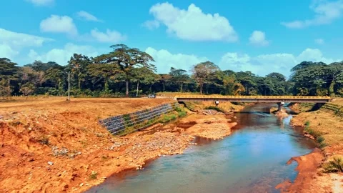 Aerial panoramic view of a beautiful river in a Dominican Republic national park Stock Footage 301871669