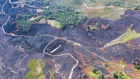 Aerial panoramic view of burnt mountain landscape The Concept of Devastation Stock Footage 322897908