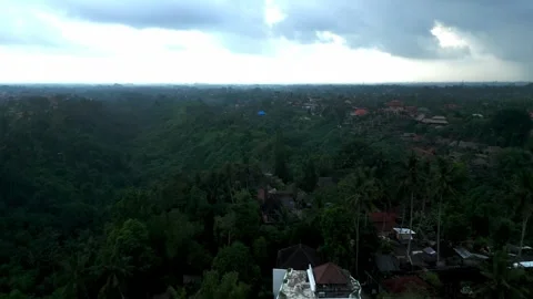 Aerial Panoramic View of Dense Tropical Jungle Canopy, Ubud, Bali, Indonesia Stock Footage 340658668