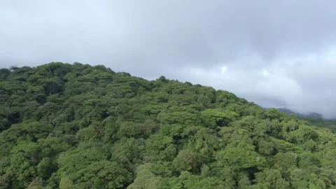 Aerial panoramic view down mountain valley covered by cloud forest, Costa Rica Stock Footage 339880155