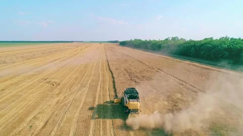 Aerial panoramic view of farm machine harvesting ripe crops in the golden field Stock-Footage 242347055