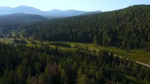 Aerial panoramic view of the forest and mountains on a beautiful sunny morning Stock Footage 103586656