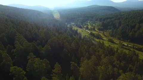 Aerial panoramic view of the forest and mountains on a beautiful sunny morning Stock Footage 103586790