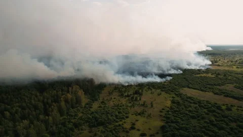 Aerial panoramic view of a forest fire, heavy smoke causes air pollution Video stock 160324809