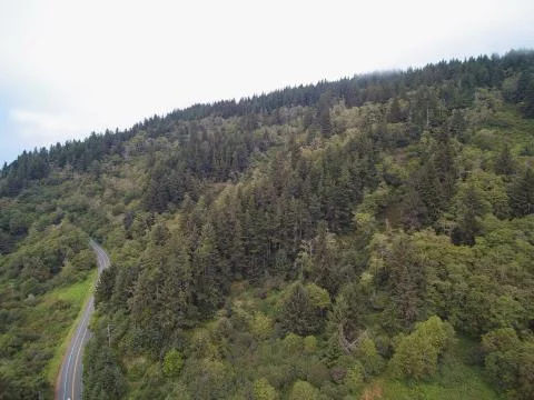 Aerial panoramic view of forest Mountain valley with empty road. Stock Photos