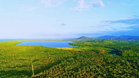 Aerial panoramic view of green fields and meadows in summer. Stock Footage 317544343
