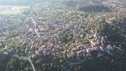 Aerial panoramic view of a hillside town surrounded by green forest Stock Footage 343945272