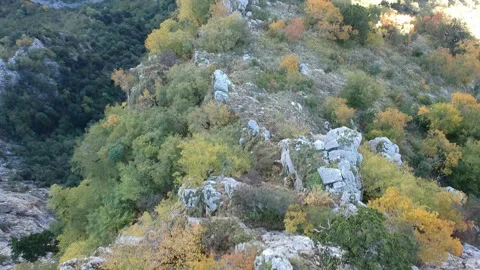 Aerial panoramic view of the impressive Vikos gorge in the Zagoria region at  Stock Footage 166821590