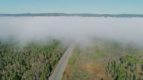 Aerial panoramic view of an intercity road between green trees with white fog Video stock 167301269