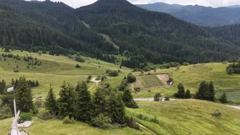 Aerial panoramic view of a mountain road surrounded by pine forest and hills 库存影片 342230520