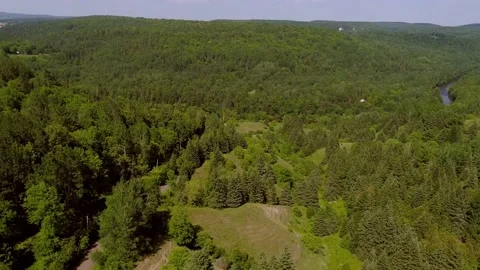 Aerial panoramic view of mountains, forest and river landscape 動画素材 136418392