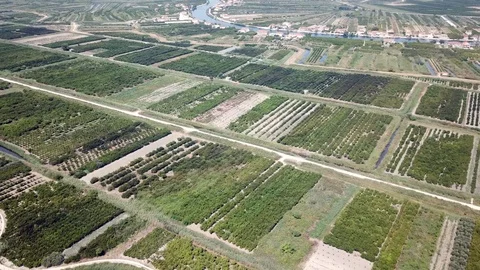 Aerial Panoramic View Of The Neretva River Valley, Croatia Stock Footage 95162142