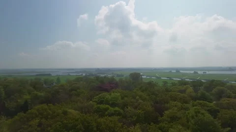 An aerial panoramic view overlooks a dense green forest canopy under a hazy Видео 335727837