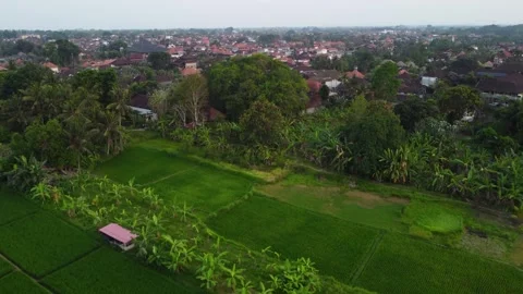 Aerial panoramic view of rice fields and the town of Ubud, Bali, Indonesia 4K Stock Footage 254871694