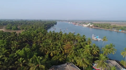 Aerial panoramic view through a tops of palm trees at beautiful river.  Stock-Footage 84961234