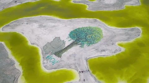 Aerial Panoramic View of "Tree of Life" Formation in Dachaidan Emerald Lake Video stock 341861840